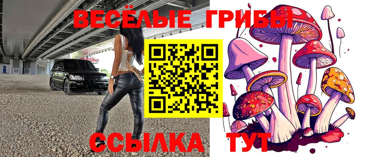 Галлюциногенные грибы GOLDEN TEACHER Мелеуз