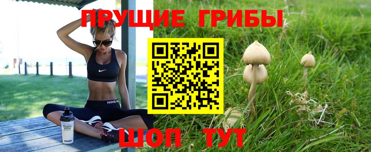 Галлюциногенные грибы Cubensis  Вход с VPN  Мелеуз 